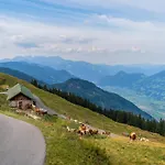 In Near Spieljoch Cable Car Fuegen