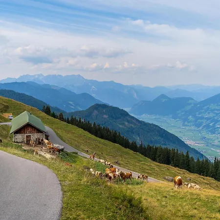 In Near Spieljoch Cable Car Fügen